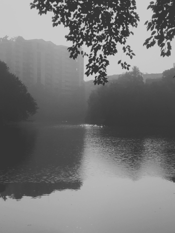 15 768x1024 640x480